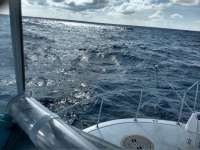 Great day of scuba diving in Key Largo with Rainbow Reef on french reef tropical serenity 2020 06 26 r9634 1
