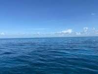 Great day of scuba diving in Key Largo with Rainbow Reef on french reef tropical voyager 2020 06 24 r9603 1