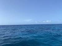 Great day of scuba diving in Key Largo with Rainbow Reef on french reef tropical voyager 2020 06 28 r9663 1
