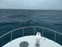 Great day of scuba diving in Key Largo with Rainbow Reef on hole in the wall tropical destiny 2020 06 03 r9438 1