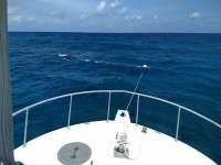 Great day of scuba diving in Key Largo with Rainbow Reef on north star tropical destiny 2020 06 02 r9435 1