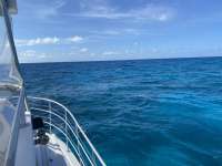 Great day of scuba diving in Key Largo with Rainbow Reef on snapper ledge tropical legend 2020 06 26 r9639 1