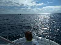 Great day of scuba diving in Key Largo with Rainbow Reef on spanish anchor tropical legend 2020 06 17 r9545 1