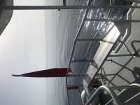 Great day of scuba diving in Key Largo with Rainbow Reef on spiegel grove tropical odyssey 2020 06 30 r9676 1