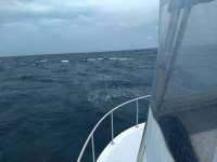 Great day of scuba diving in Key Largo with Rainbow Reef on winch hole tropical serenity 2020 06 04 r9444 1