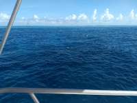 Great day of scuba diving in Key Largo with Rainbow Reef on winch hole tropical serenity 2020 06 24 r9602 1