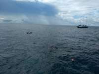 Great day of scuba diving in Key Largo with Rainbow Reef on winch hole tropical voyager 2020 06 14 r9517 1
