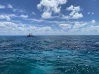 Great day of scuba diving in Key Largo with Rainbow Reef on christ statue tropical legend 2020 03 18 r9388 3