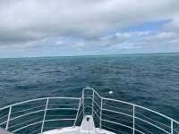 Great day of scuba diving in Key Largo with Rainbow Reef on french reef tropical legend 2020 03 06 r9338 1
