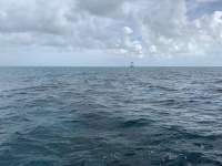 Great day of scuba diving in Key Largo with Rainbow Reef on molasses reef santana 2020 03 12 r9355 1