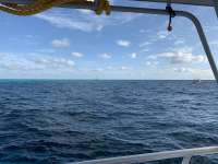 Great day of scuba diving in Key Largo with Rainbow Reef on molasses reef tropical destiny 2020 03 18 r9385 1