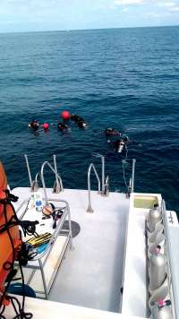 Great day of scuba diving in Key Largo with Rainbow Reef on spanish anchor santana 2020 03 15 r9366 1
