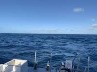 Great day of scuba diving in Key Largo with Rainbow Reef on spiegel grove tropical odyssey 2020 03 21 r9398 1