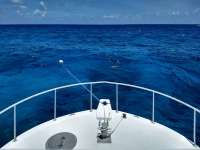 Great day of scuba diving in Key Largo with Rainbow Reef on eagle ray alley tropical destiny 2020 05 30 r9422 1