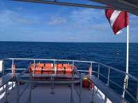 Great day of scuba diving in Key Largo with Rainbow Reef on spanish anchor tropical serenity 2020 05 31 r9424 1