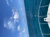 Great day of scuba diving in Key Largo with Rainbow Reef on banana patch tropical destiny 2020 11 22 r10315 1