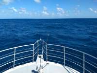 Great day of scuba diving in Key Largo with Rainbow Reef on benwood wreck tropical odyssey 2020 11 26 r10337 1