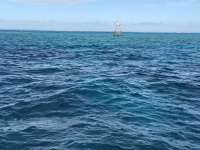 Great day of scuba diving in Key Largo with Rainbow Reef on eagle ray alley santana 2020 11 16 r10298 1