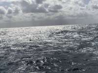 Great day of scuba diving in Key Largo with Rainbow Reef on french twist santana 2020 11 24 r10330 1