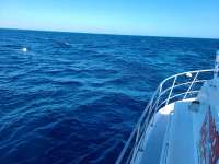 Great day of scuba diving in Key Largo with Rainbow Reef on spiegel grove tropical adventure 2020 11 23 r10320 1
