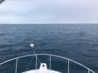 Great day of scuba diving in Key Largo with Rainbow Reef on spiegel grove tropical destiny 2020 11 13 r10282 1