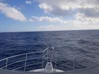 Great day of scuba diving in Key Largo with Rainbow Reef on spiegel grove tropical odyssey 2020 11 01 r10274 1