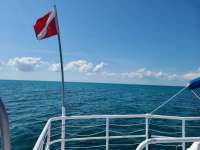 Great day of scuba diving in Key Largo with Rainbow Reef on city of washington tropical adventure 2020 10 13 r10205 1