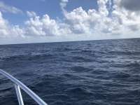 Great day of scuba diving in Key Largo with Rainbow Reef on conch wall tropical explorer 2020 10 09 r10174 1