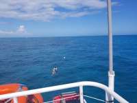 Great day of scuba diving in Key Largo with Rainbow Reef on north dry rocks tropical adventure 2020 10 30 r10263 1