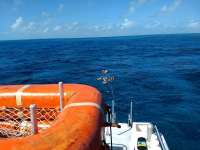 Great day of scuba diving in Key Largo with Rainbow Reef on permit ledges tropical legend 2020 10 29 r10259 1