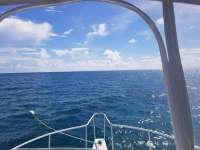 Great day of scuba diving in Key Largo with Rainbow Reef on snapper ledge santana 2020 10 15 r10218 1