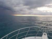 Great day of scuba diving in Key Largo with Rainbow Reef on spiegel grove tropical adventure 2020 10 11 r10181 1