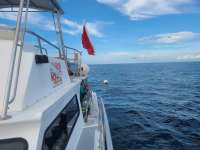 Great day of scuba diving in Key Largo with Rainbow Reef on spiegel grove tropical odyssey 2020 10 01 r10153 1