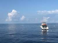 Great day of scuba diving in Key Largo with Rainbow Reef on spiegel grove tropical odyssey 2020 10 12 r10195 1
