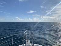 Great day of scuba diving in Key Largo with Rainbow Reef on spiegel grove tropical odyssey 2020 10 15 r10213 1