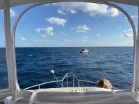 Great day of scuba diving in Key Largo with Rainbow Reef on spiegel grove tropical serenity 2020 10 14 r10209 1