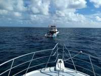 Great day of scuba diving in Key Largo with Rainbow Reef on uscgc duane tropical adventure 2020 10 31 r10267 1