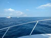 Great day of scuba diving in Key Largo with Rainbow Reef on drift molasses tropical explorer 2020 09 19 r10070 1