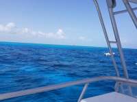 Great day of scuba diving in Key Largo with Rainbow Reef on fire coral cave tropical legend 2020 09 04 r10016 1