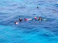 Great day of scuba diving in Key Largo with Rainbow Reef on fire coral cave tropical legend 2020 09 06 r10027 1