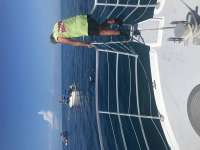 Great day of scuba diving in Key Largo with Rainbow Reef on french reef tropical legend 2020 09 27 r10101 1