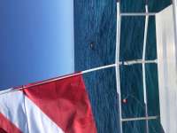 Great day of scuba diving in Key Largo with Rainbow Reef on french reef tropical serenity 2020 09 01 r9997 1
