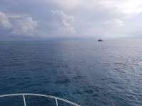 Great day of scuba diving in Key Largo with Rainbow Reef on molasses reef tropical destiny 2020 09 21 r10089 1