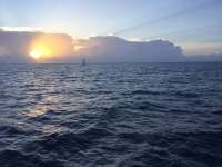 Great day of scuba diving in Key Largo with Rainbow Reef on permit ledges santana 2020 09 08 r10037 1
