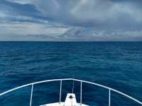 Great day of scuba diving in Key Largo with Rainbow Reef on snapper ledge tropical destiny 2020 09 09 r10043 1