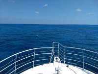 Great day of scuba diving in Key Largo with Rainbow Reef on snapper ledge tropical legend 2020 09 20 r10087 1