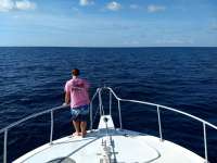 Great day of scuba diving in Key Largo with Rainbow Reef on spiegel grove tropical serenity 2020 09 18 r10067 1