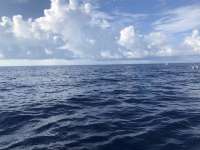 Great day of scuba diving in Key Largo with Rainbow Reef on uscgc duane tropical destiny 2020 09 26 r10092 1