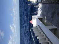 Great day of scuba diving in Key Largo with Rainbow Reef on uscgc duane tropical odyssey 2020 09 02 r10002 1