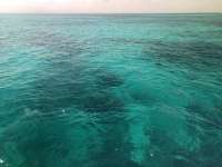 Great day of scuba diving in Key Largo with Rainbow Reef on banana patch tropical serenity 2021 04 26 r11017 1